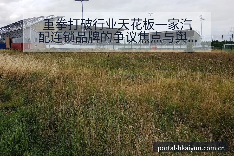 重拳打破行业天花板一家汽配连锁品牌的争议焦点与舆论观察风 - 开云体育网址